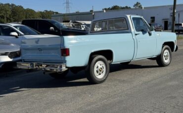 Chevrolet-CK-Pickup-2500-1977-Pickup-Truck-8