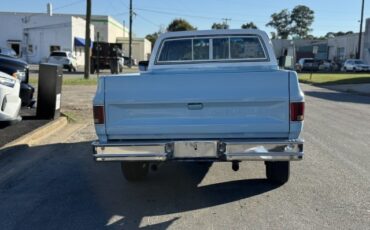 Chevrolet-CK-Pickup-2500-1977-Pickup-Truck-9