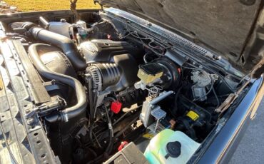 Chevrolet-CK10-Silverado-trim-short-bed-6.0-LS4x4-4L60-Nice-1986-Silverado-4x4-17