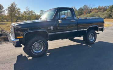 Chevrolet-CK10-Silverado-trim-short-bed-6.0-LS4x4-4L60-Nice-1986-Silverado-4x4
