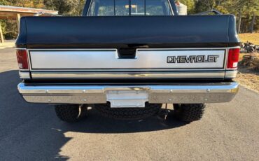 Chevrolet-CK10-Silverado-trim-short-bed-6.0-LS4x4-4L60-Nice-1986-Silverado-4x4-9