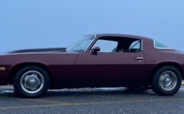 Chevrolet-Camaro-1978-Coupe