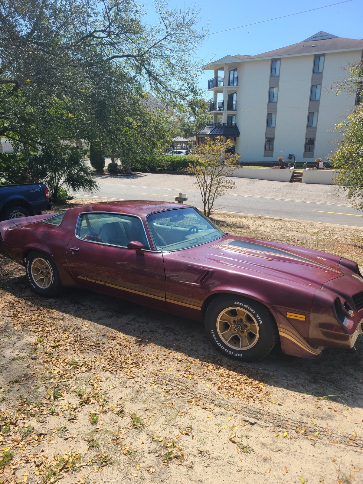 Chevrolet-Camaro-1981-Coupe-1