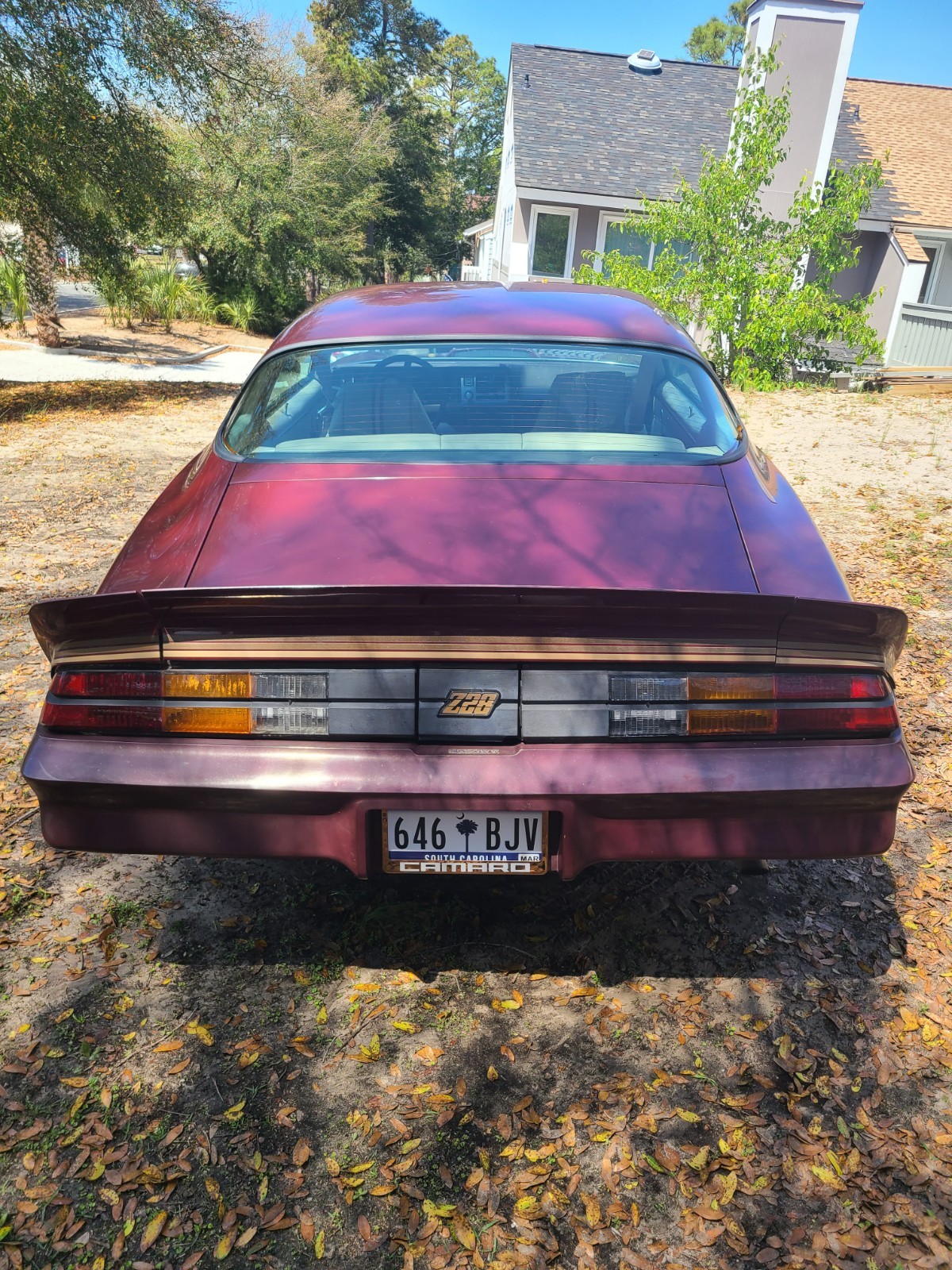 Chevrolet-Camaro-1981-Coupe-2