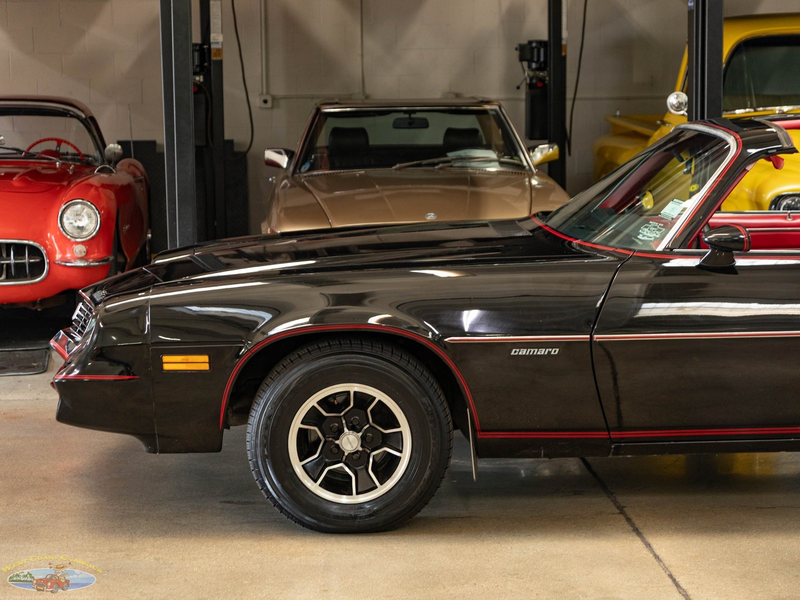 Chevrolet-Camaro-1981-Coupe-4