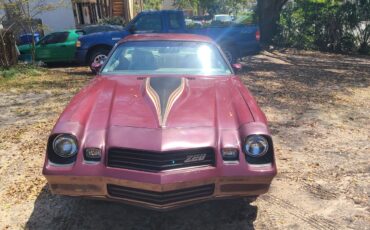 Chevrolet-Camaro-1981-Coupe