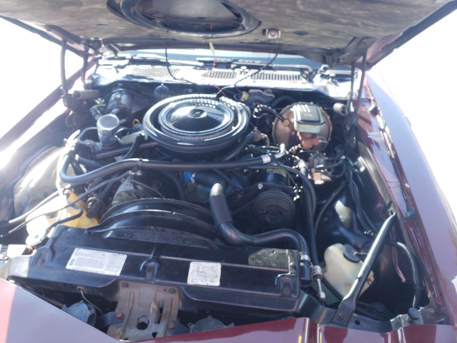 Chevrolet-Camaro-1981-Coupe-6