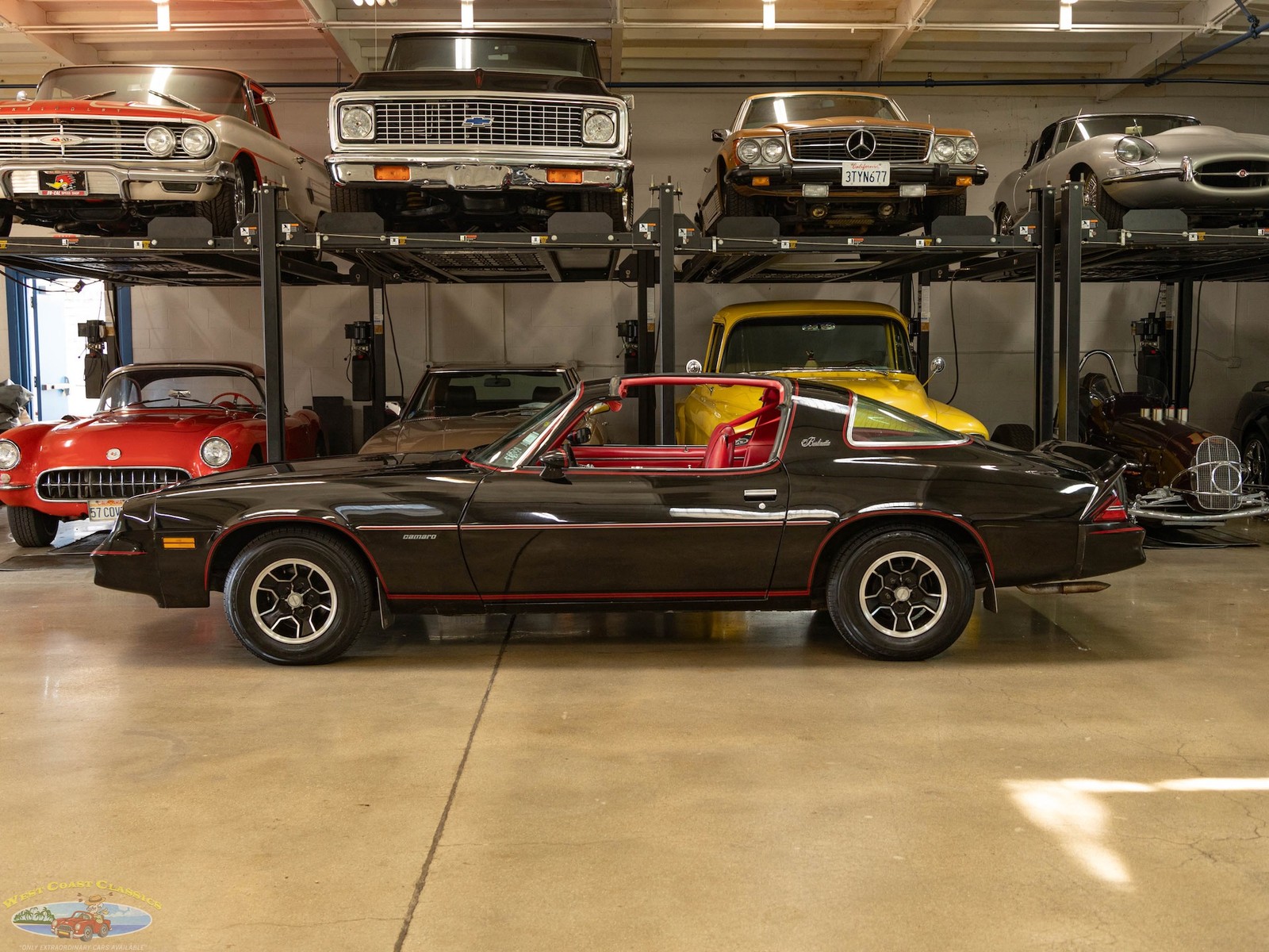 Chevrolet-Camaro-1981-Coupe-6