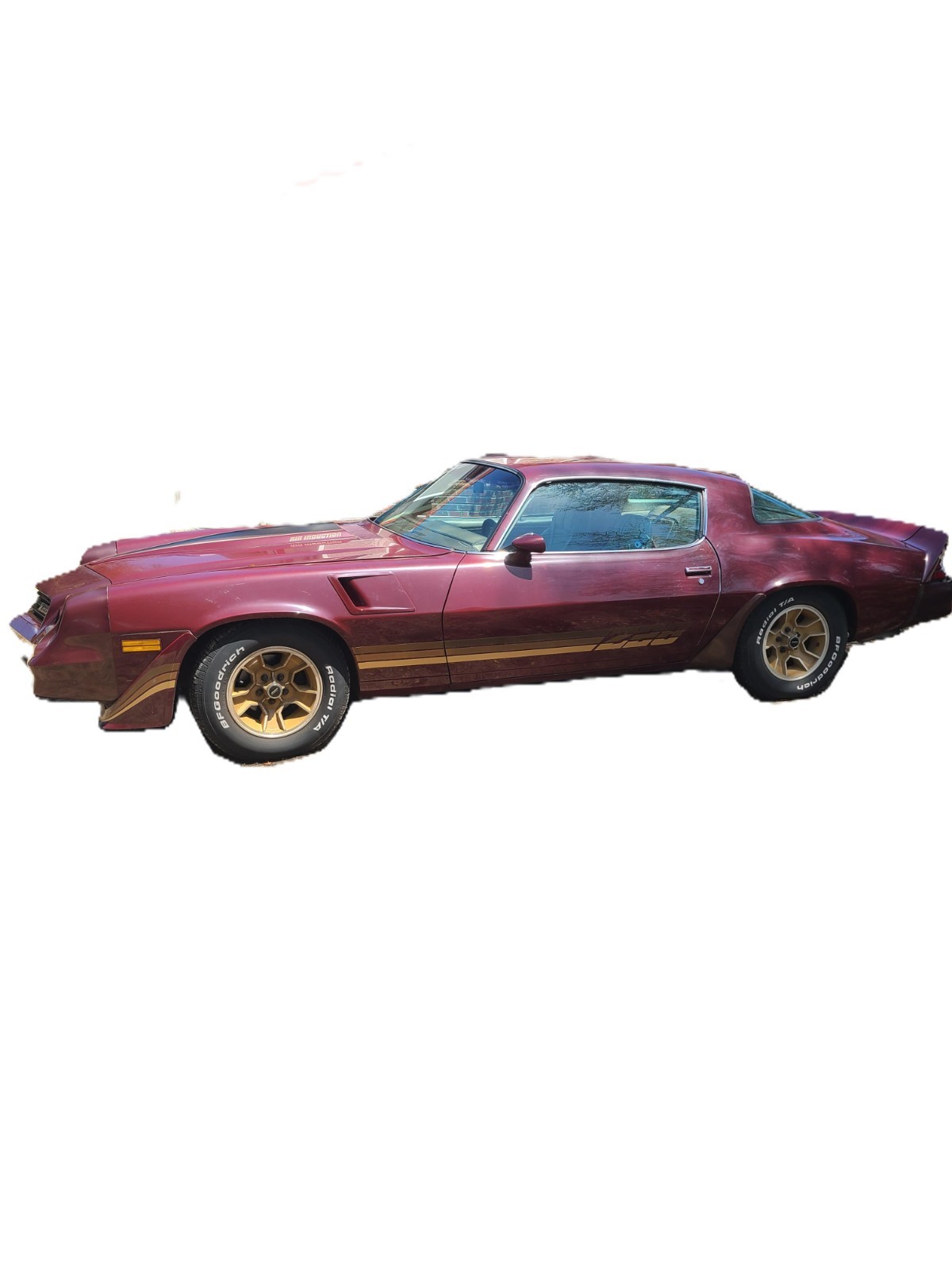 Chevrolet-Camaro-1981-Coupe-7