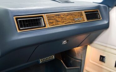 Chevrolet-Caprice-1975-25