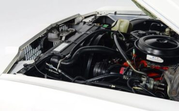 Chevrolet-Caprice-1975-39