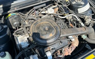 Chevrolet-Celebrity-1983-Sedan-16