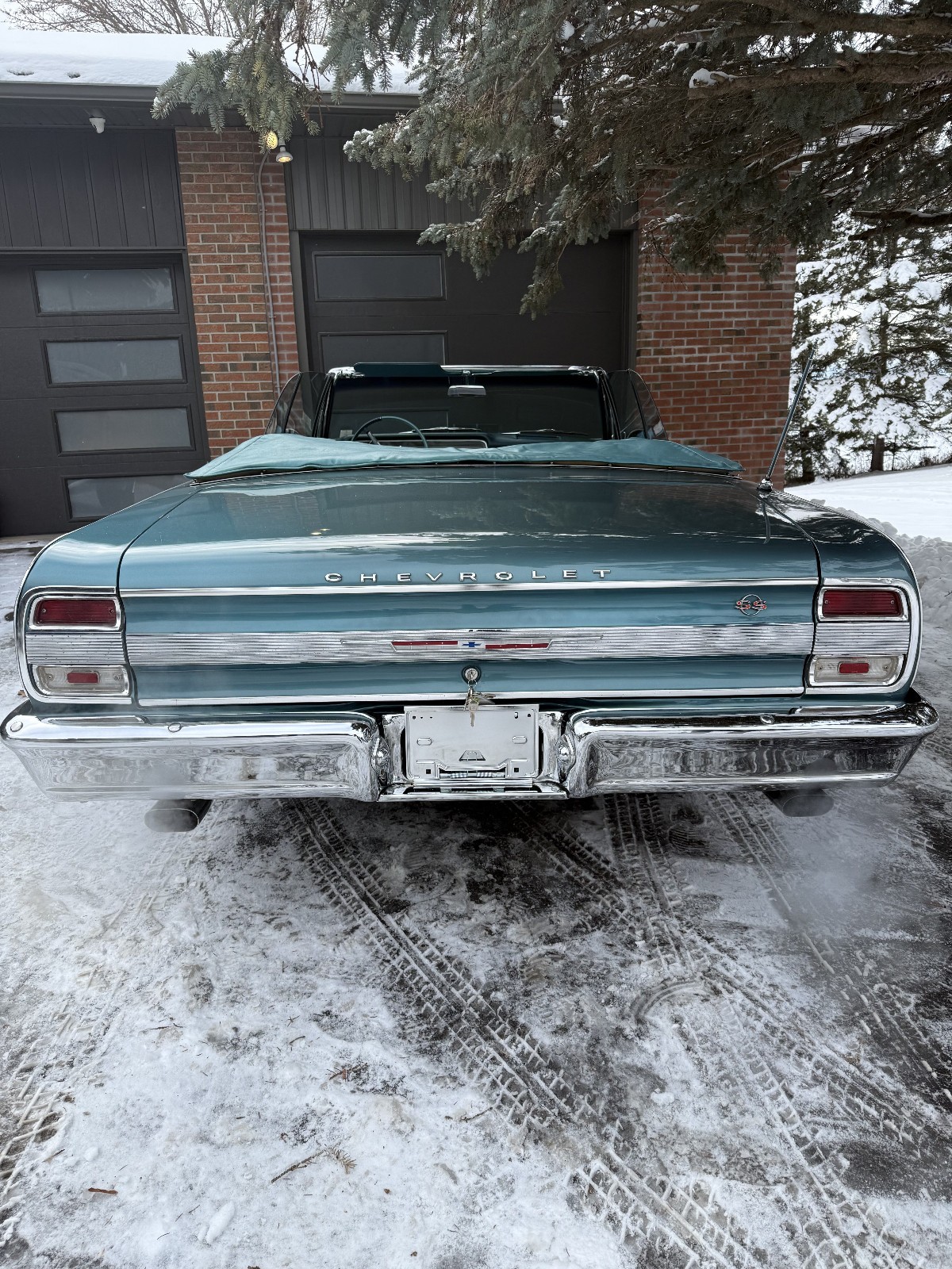 Chevrolet-Chevelle-1964-Convertible-8