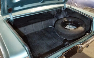 Chevrolet-Chevelle-1965-Coupe-21