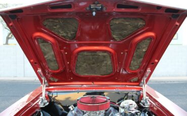 Chevrolet-Chevelle-1967-Coupe-19