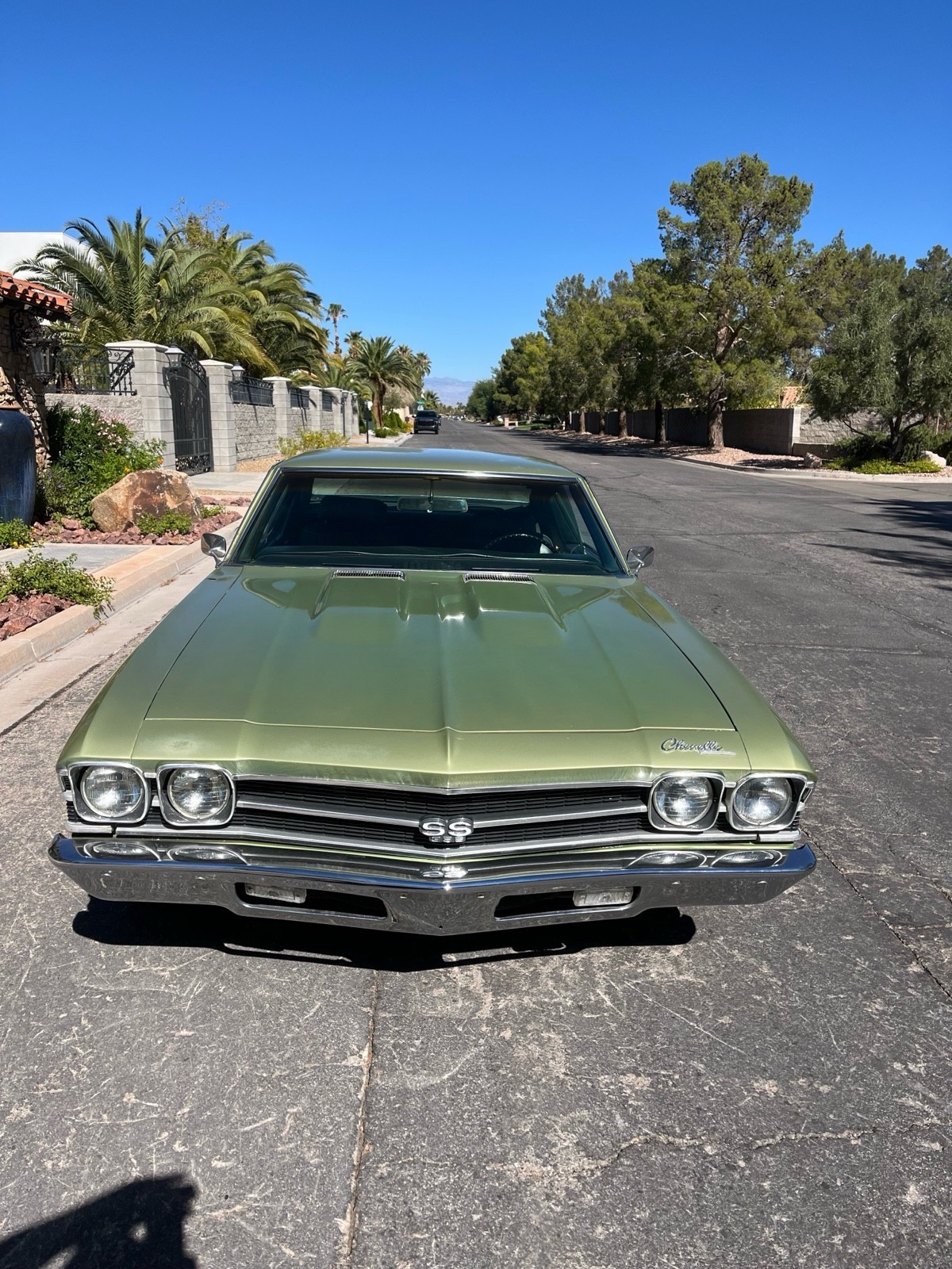 Chevrolet-Chevelle-1969-Coupe-2