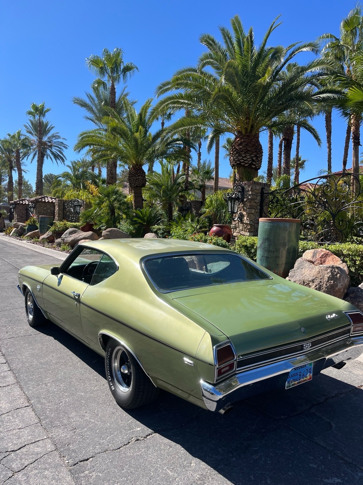 Chevrolet-Chevelle-1969-Coupe-6