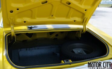 Chevrolet-Chevelle-1971-Coupe-39