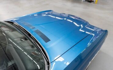 Chevrolet-Chevelle-1972-Convertible-13