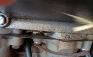 Chevrolet-Corvette-1965-Convertible-15