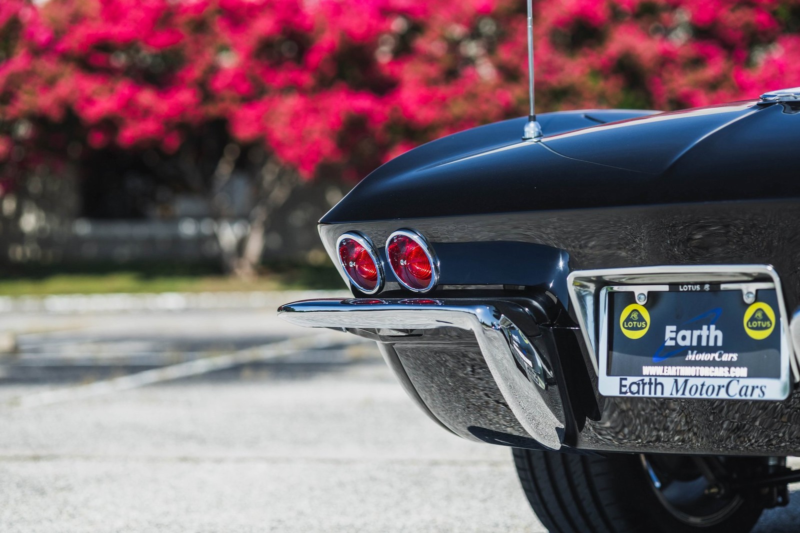 Chevrolet-Corvette-1965-Convertible-17