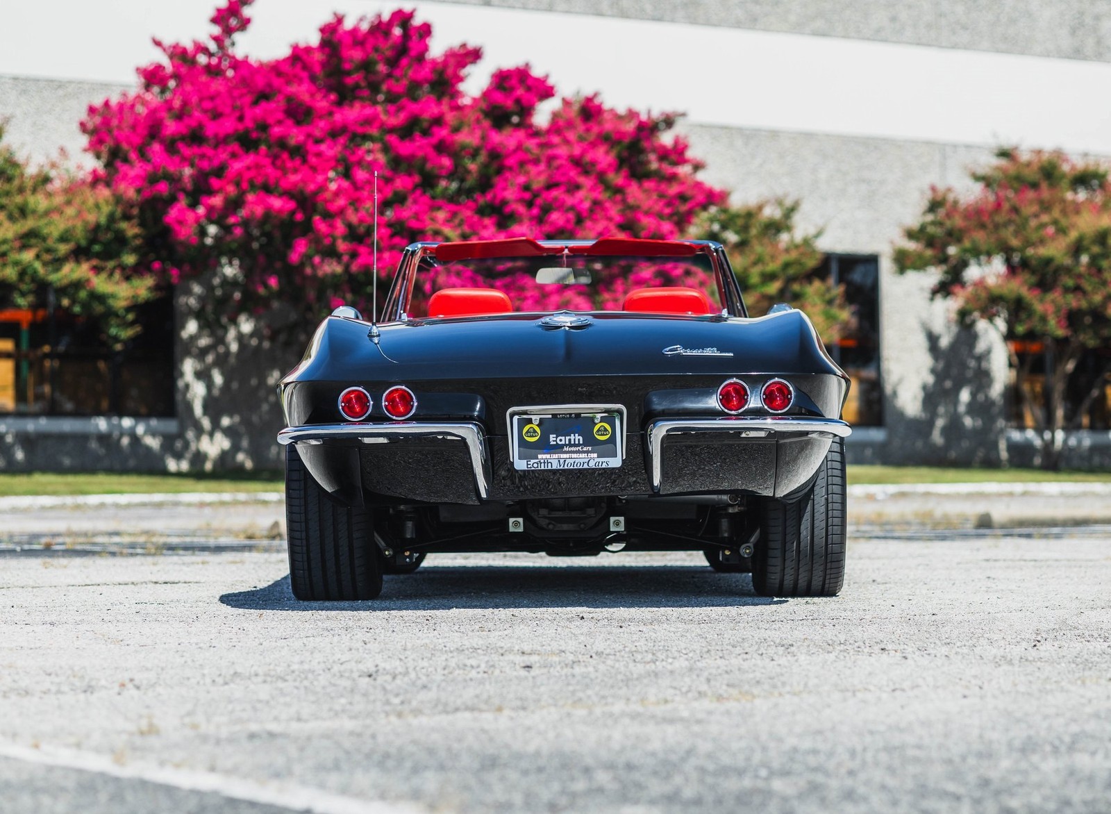 Chevrolet-Corvette-1965-Convertible-7
