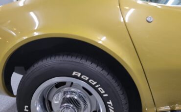 Chevrolet-Corvette-1969-Coupe-19