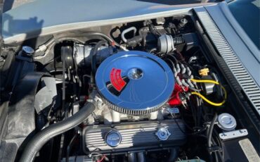 Chevrolet-Corvette-1970-Cortez-Silver-Black-5