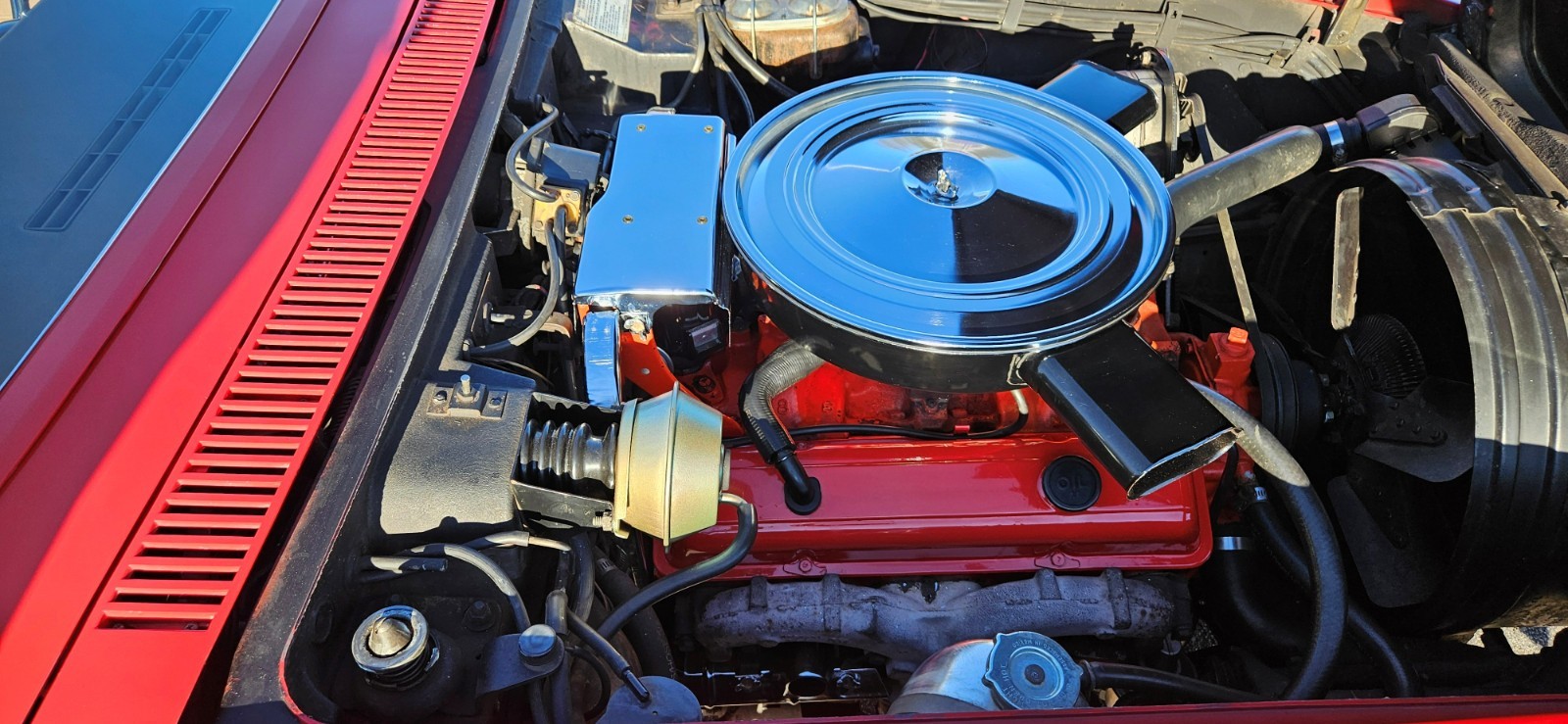 Chevrolet-Corvette-1972-Convertible-12