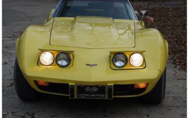 Chevrolet-Corvette-1974-Bright-Yellow-Black-10