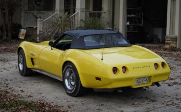 Chevrolet-Corvette-1974-Bright-Yellow-Black-2