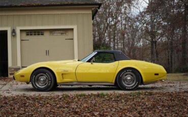 Chevrolet-Corvette-1974-Bright-Yellow-Black-3