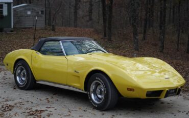 Chevrolet-Corvette-1974-Bright-Yellow-Black-7
