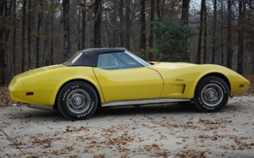 Chevrolet-Corvette-1974-Bright-Yellow-Black-8