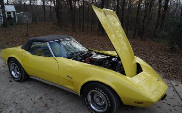 Chevrolet-Corvette-1974-Bright-Yellow-Black-9