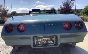 Chevrolet-Corvette-1974-Convertible-13