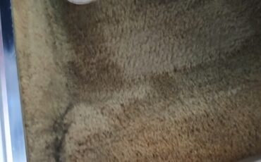 Chevrolet-Corvette-1975-Coupe-8