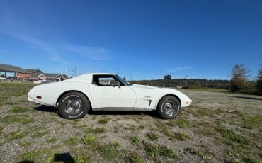 Chevrolet-Corvette-1976-1