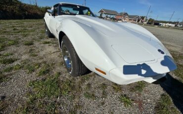 Chevrolet-Corvette-1976-10