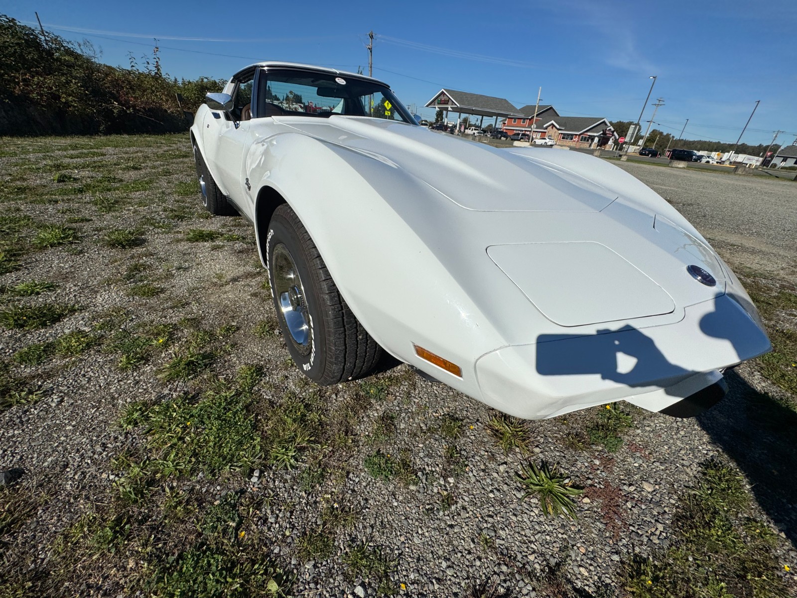 Chevrolet-Corvette-1976-10