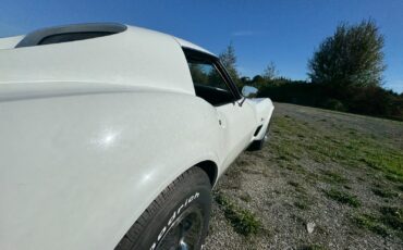 Chevrolet-Corvette-1976-11