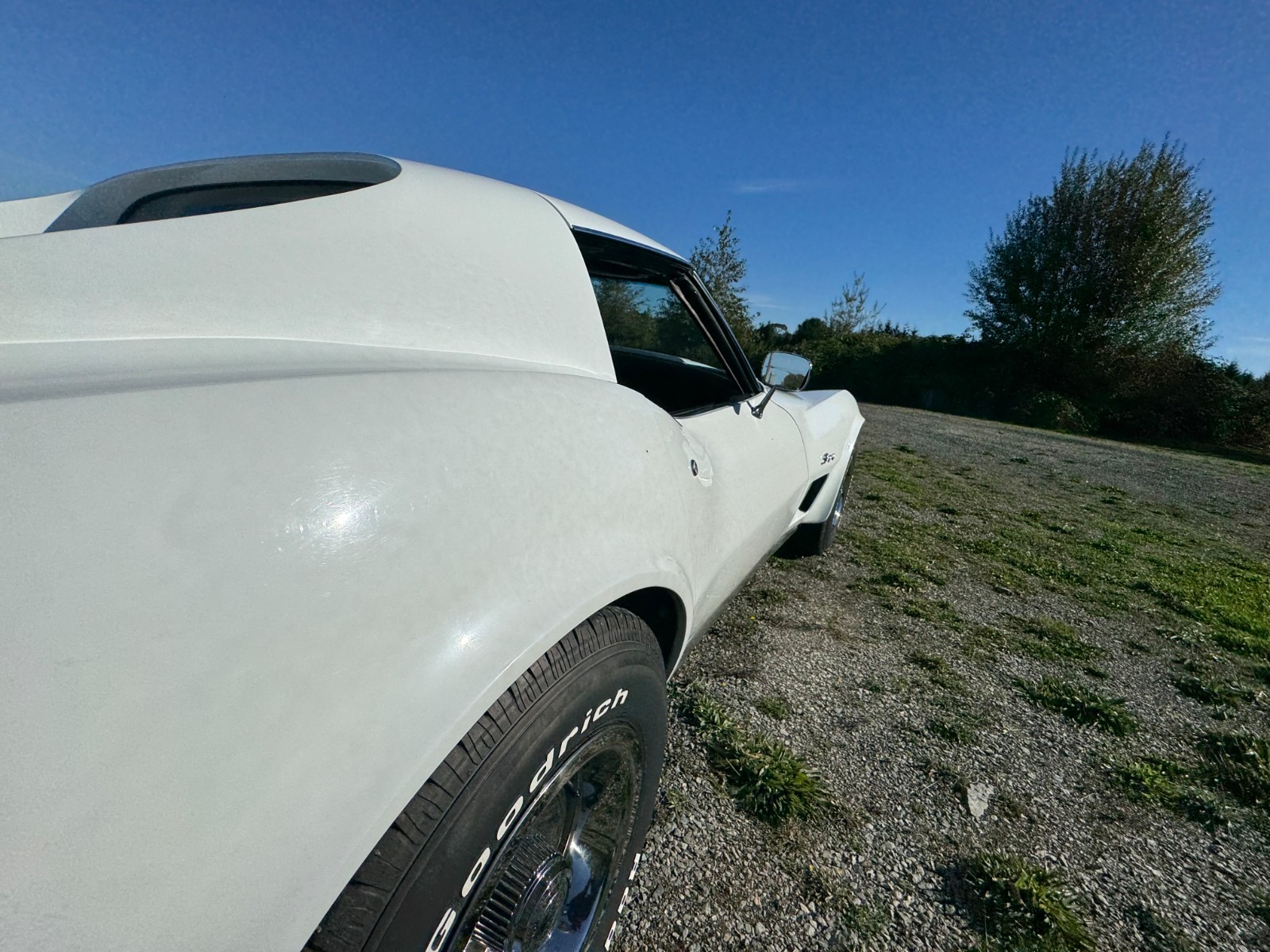 Chevrolet-Corvette-1976-11