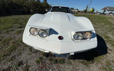 Chevrolet-Corvette-1976-13