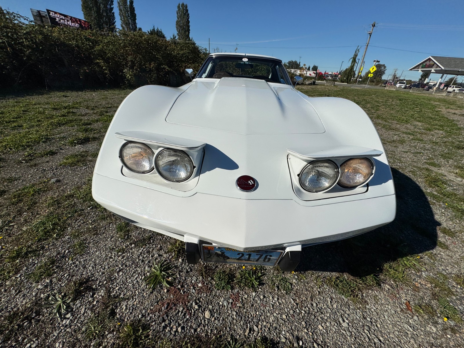 Chevrolet-Corvette-1976-13