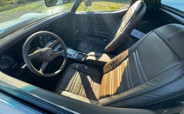 Chevrolet-Corvette-1976-14