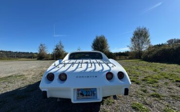 Chevrolet-Corvette-1976-2