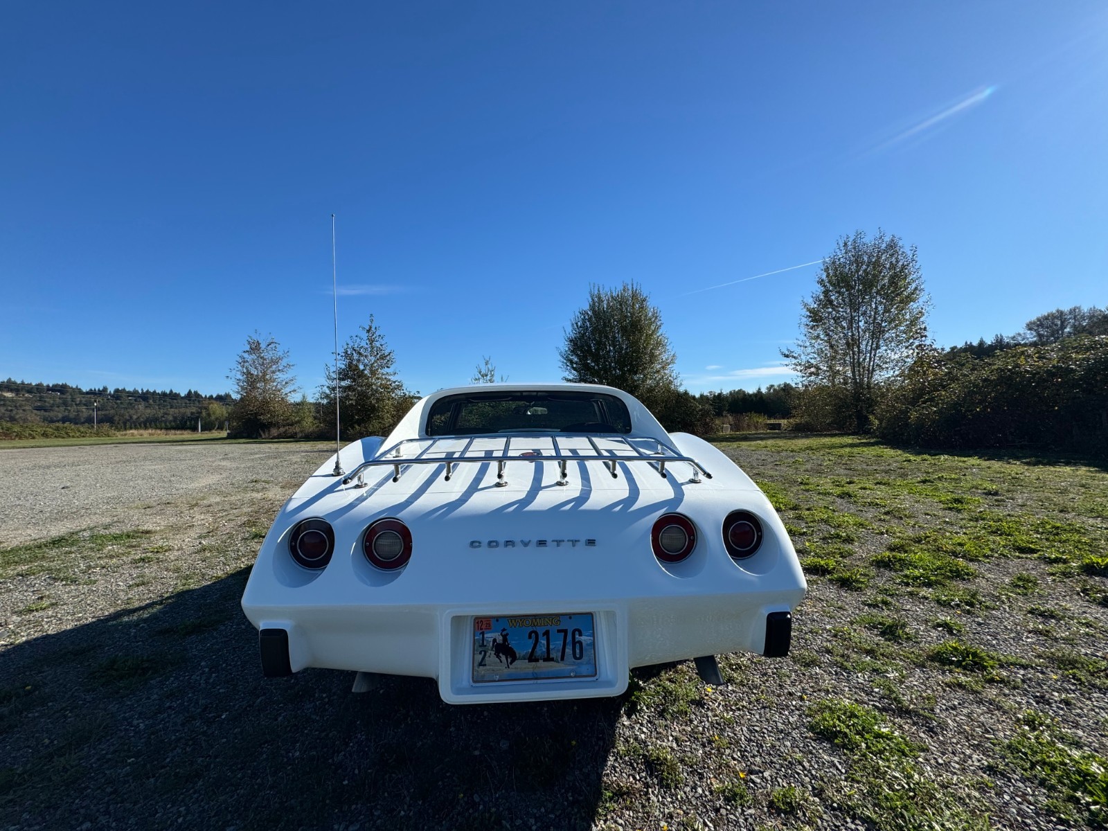 Chevrolet-Corvette-1976-2