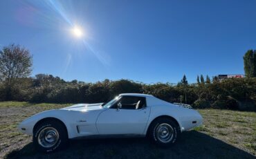 Chevrolet-Corvette-1976-3