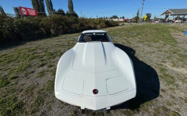 Chevrolet-Corvette-1976-4