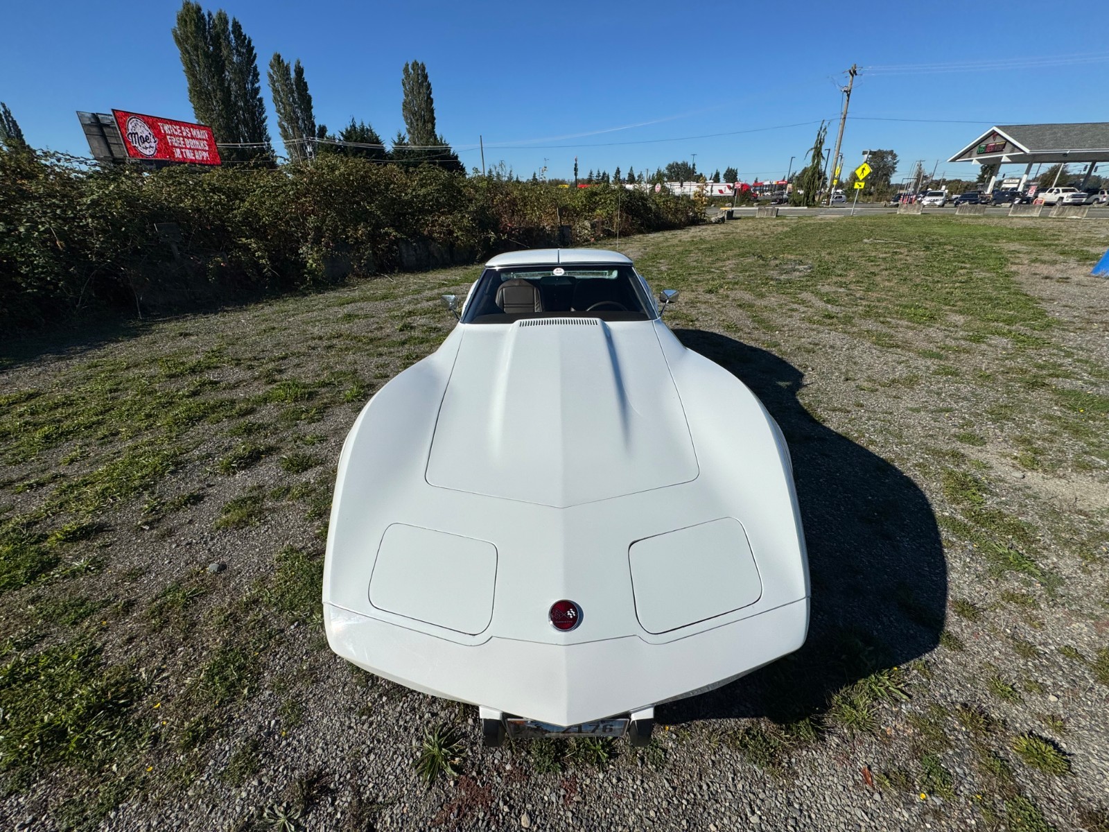 Chevrolet-Corvette-1976-4
